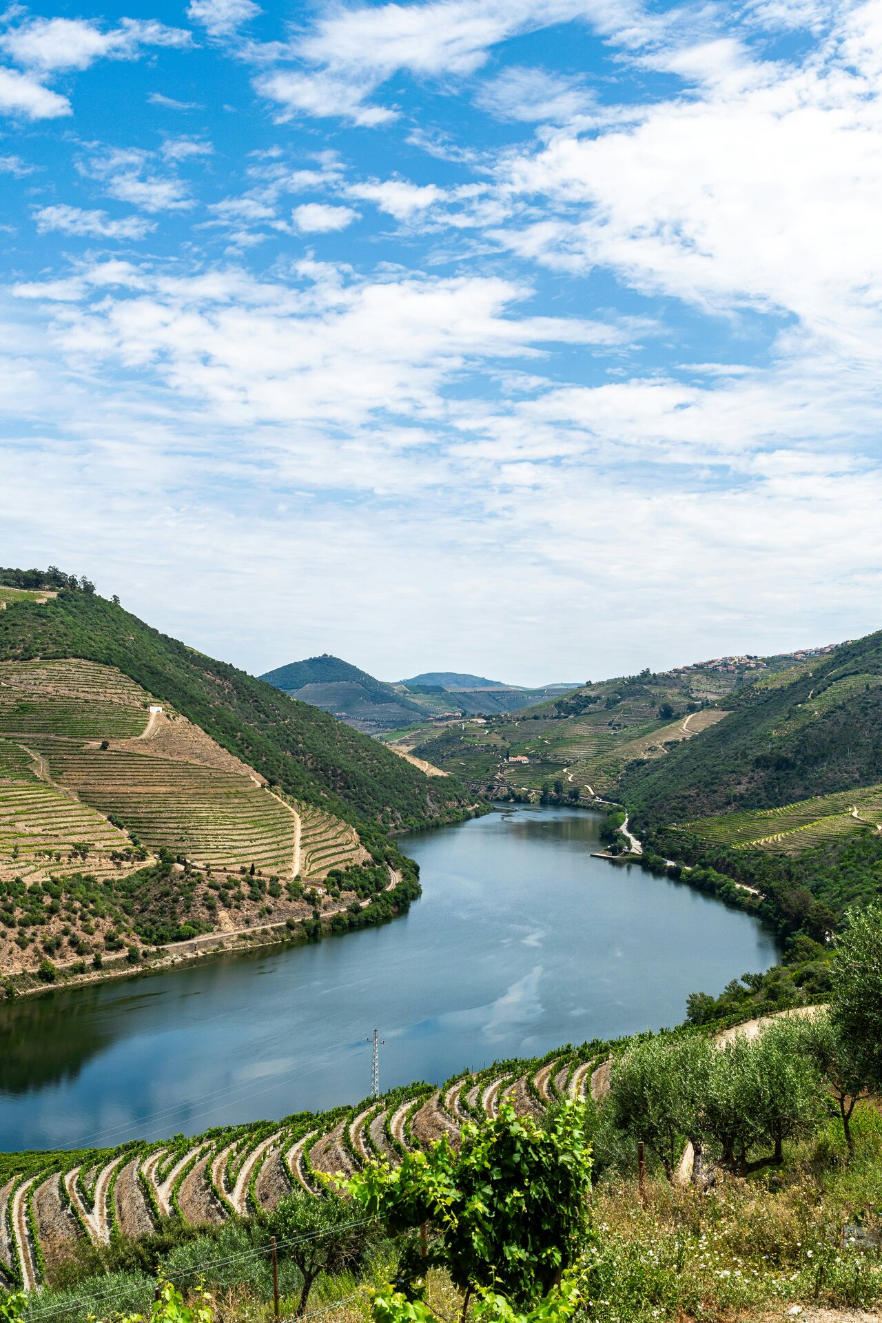 Douro Valley Tour
